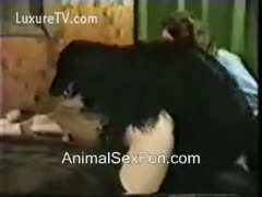 An old-fashioned amateur video of a blond banging dog with bubbles